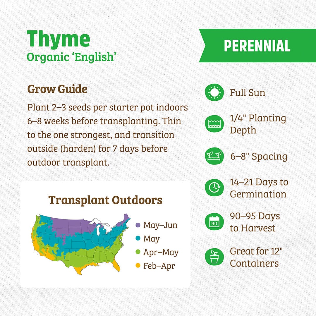 Organic English thyme seed packet with green text, planting and growth instructions, and a colorful U.S. transplant map. - Organic Thyme Seeds — 'English' - Default Title - Back to the Roots