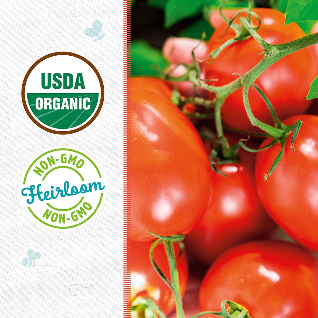 Bright red Amish Paste tomatoes hanging on the vine with organic and non-GMO labels. - Organic Tomato Seeds — 'Amish Paste' - Default Title - Back to the Roots
