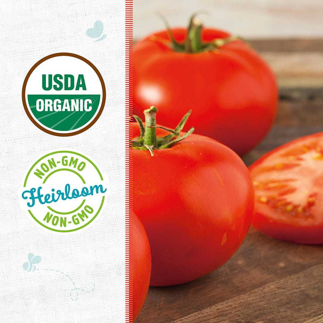 Bright red beefsteak tomatoes with green stems on wooden surface, one tomato sliced showing juicy interior. - Organic Tomato Seeds — 'Beefsteak' - Default Title - Back to the Roots