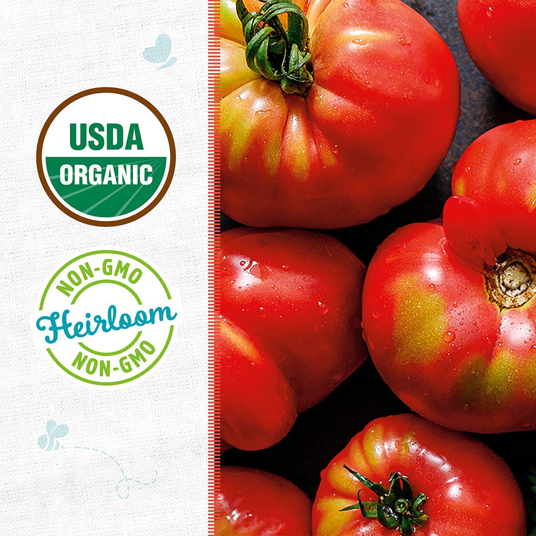 Bright red Brandywine Pink heirloom tomatoes clustered together with green stems, USDA Organic and Non-GMO badges on the. - Organic Tomato Seeds — 'Brandywine Pink' - Default Title - Back to the Roots