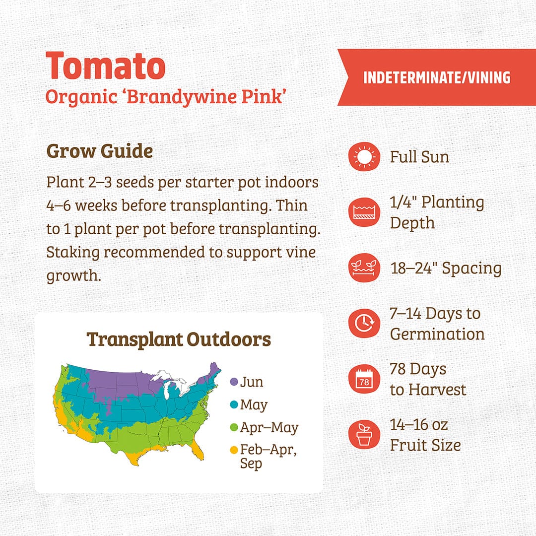 Organic Brandywine Pink tomato seed packet with planting guide and colorful growing zone map. - Organic Tomato Seeds — 'Brandywine Pink' - Default Title - Back to the Roots
