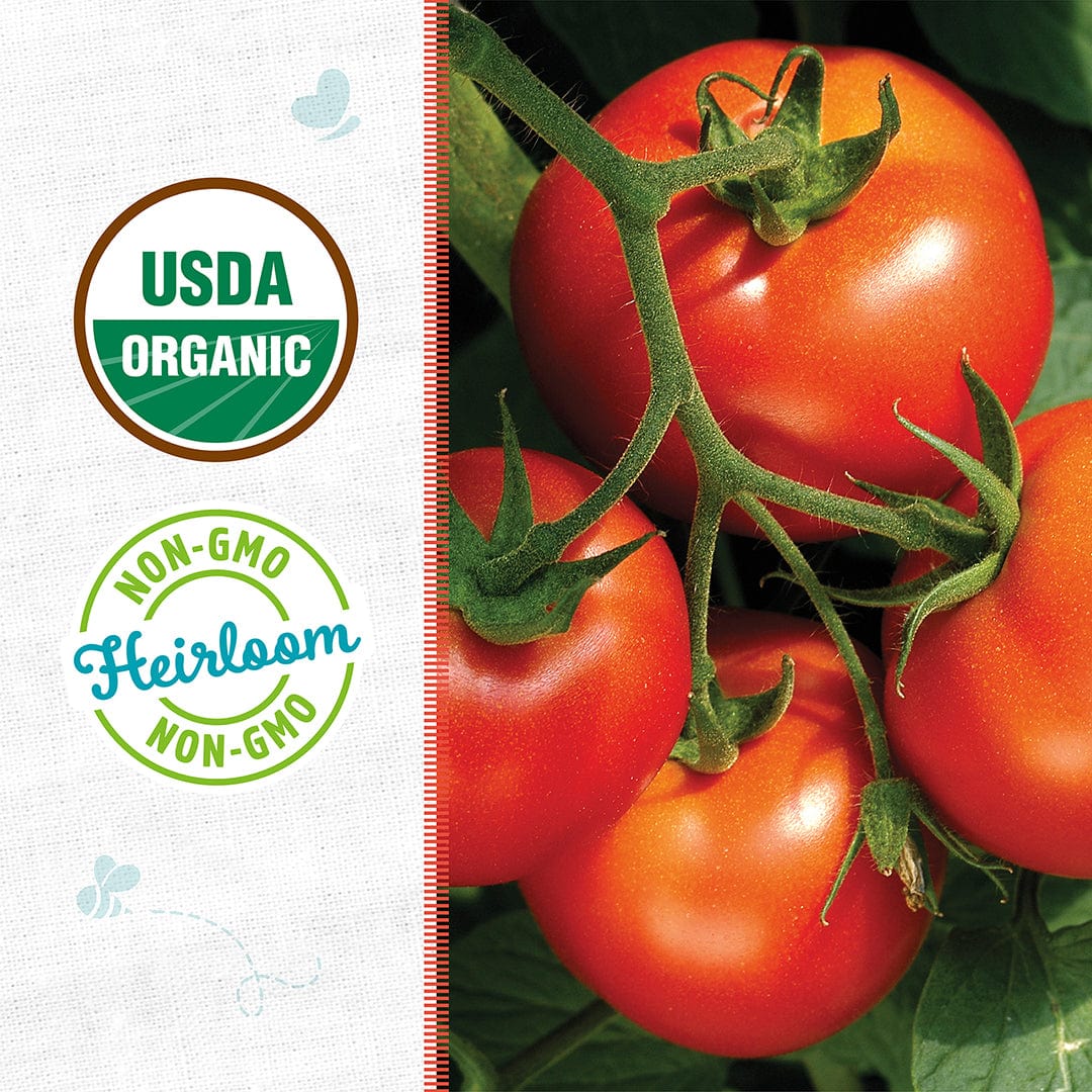 Bright red Rutgers tomatoes on the vine with green leaves and USDA Organic and Heirloom Non-GMO labels on the side panel. - Organic Tomato Seeds — 'Rutgers' - Default Title - Back to the Roots