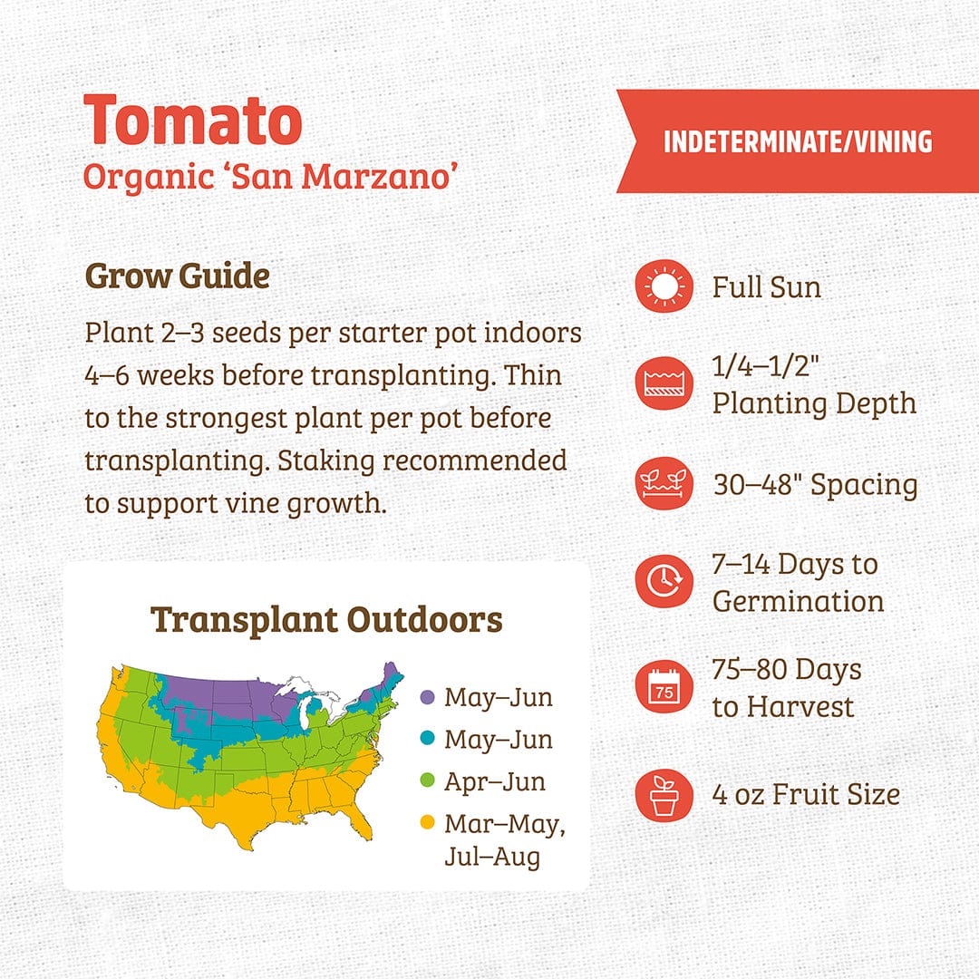 Organic San Marzano tomato seed packet with planting and transplant guide details. - Organic Tomato Seeds — 'San Marzano' - Default Title - Back to the Roots