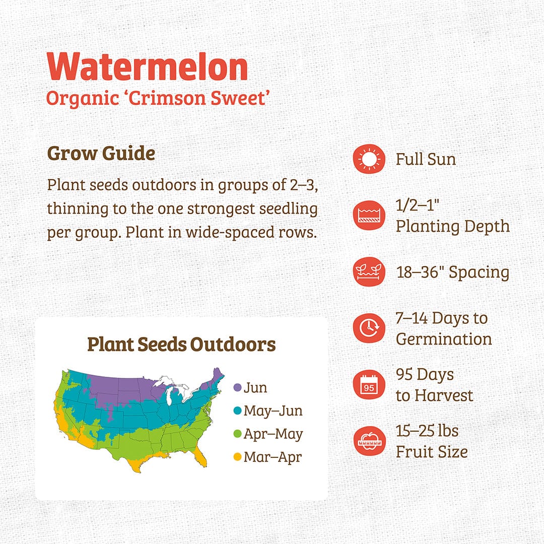Organic Crimson Sweet watermelon seed packet with planting guide and regional planting map. - Organic Watermelon Seeds — 'Crimson Sweet' - Default Title - Back to the Roots