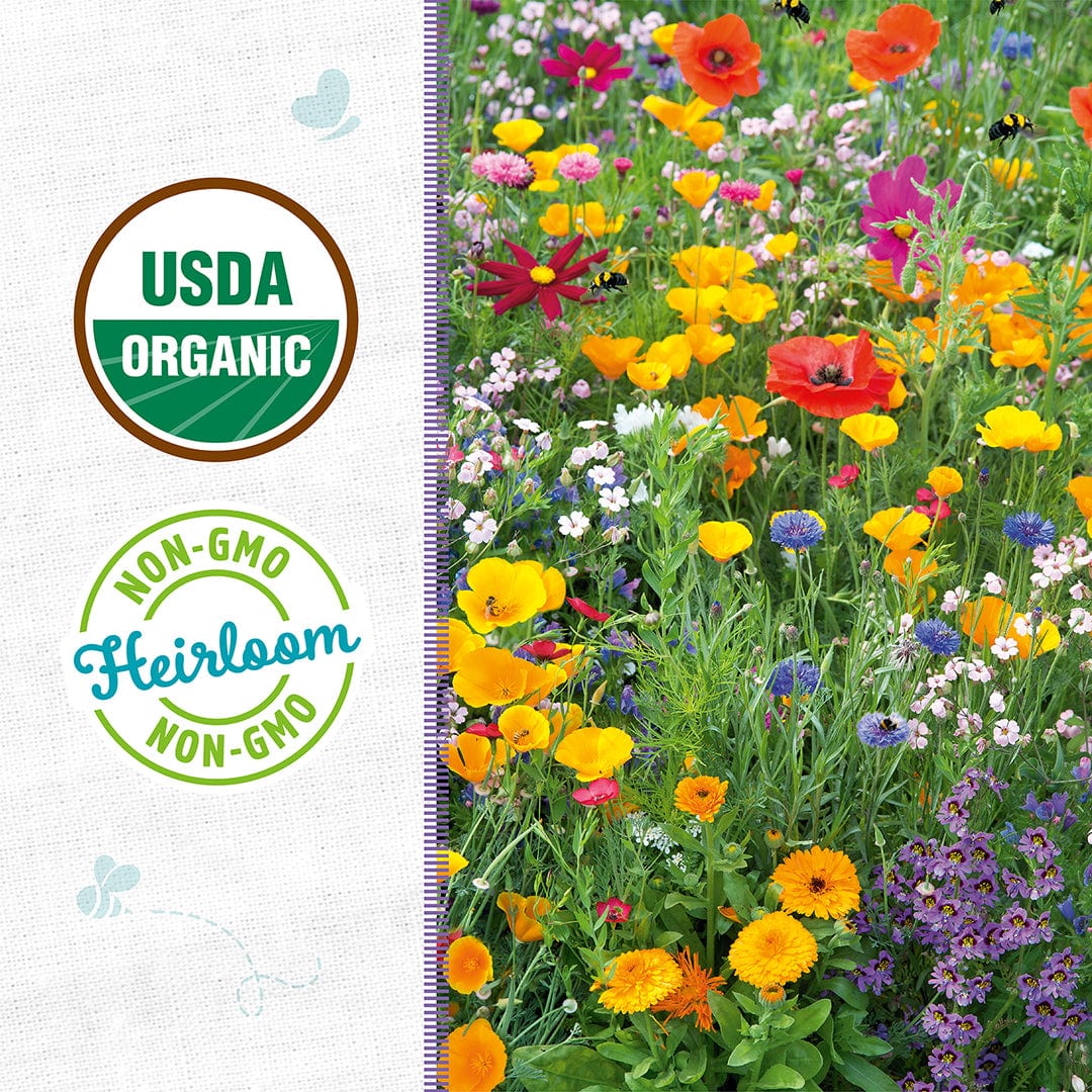 Organic wildflower seed packet with colorful bloom illustrations and USDA Organic and Non-GMO labels. - Organic Wildflower Seeds — 'Rainbow Blooms' - Default Title - Back to the Roots