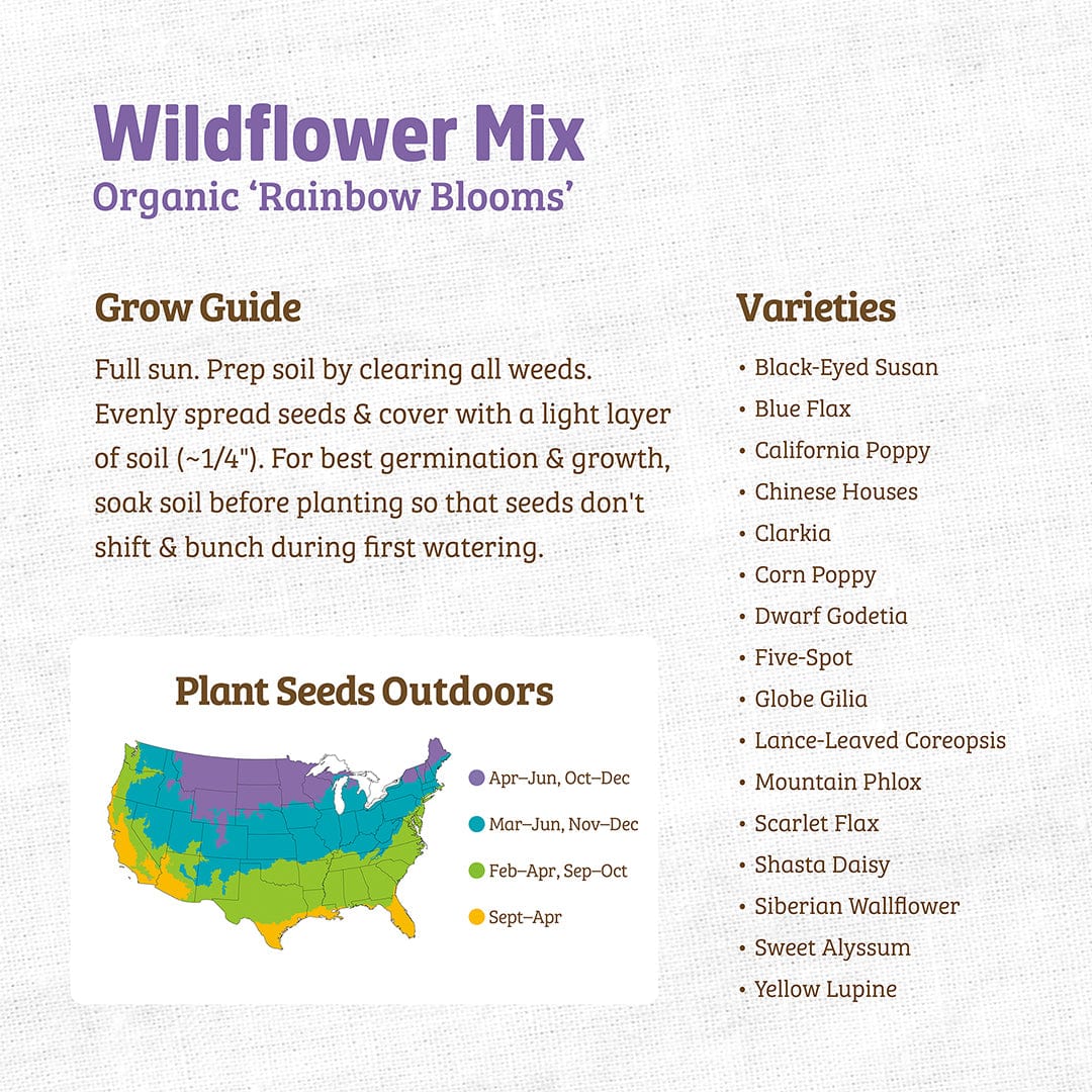Wildflower Mix seed packet with colorful blooms and planting guide on textured background. - Organic Wildflower Seeds — 'Rainbow Blooms' - Default Title - Back to the Roots