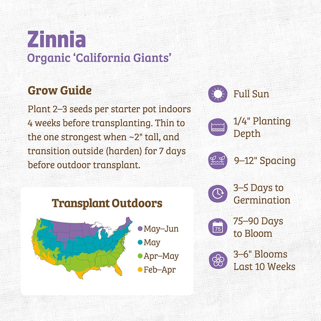 Organic California Giants zinnia seed packet with growing instructions and planting tips. - Organic Zinnia Seeds — 'California Giants' - Default Title - Back to the Roots