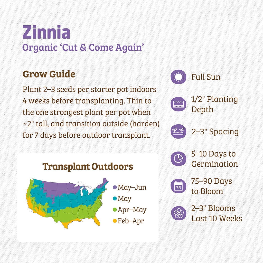Organic Zinnia seeds packet with planting and care instructions and a colorful US planting map. - Organic Zinnia Seeds — 'Cut and Come Again' - Default Title - Back to the Roots