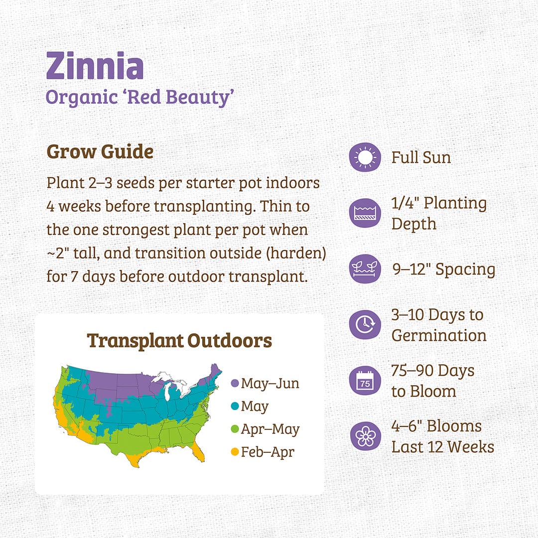 Organic Zinnia 'Red Beauty' seed packet with growing guide, planting tips, and bloom timeline. - Organic Zinnia Seeds — 'Red Beauty' - Default Title - Back to the Roots
