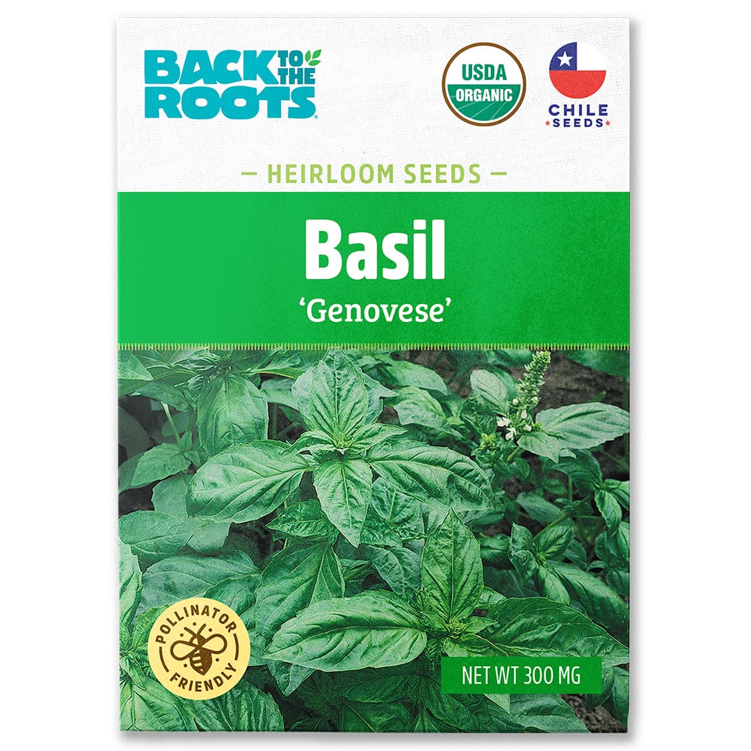 Organic Genovese basil seed packet with vibrant green leaves and USDA organic label. - Organic Basil Seeds — 'Genovese' - Default Title - Back to the Roots