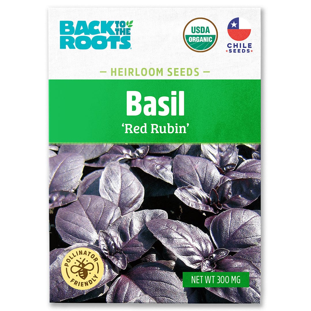 Back to the Roots Organic Basil Seeds — 'Red Rubin' feature an image of dark purple leaves; these organic heirloom seeds are perfect for growing flavorful basil in your home garden.