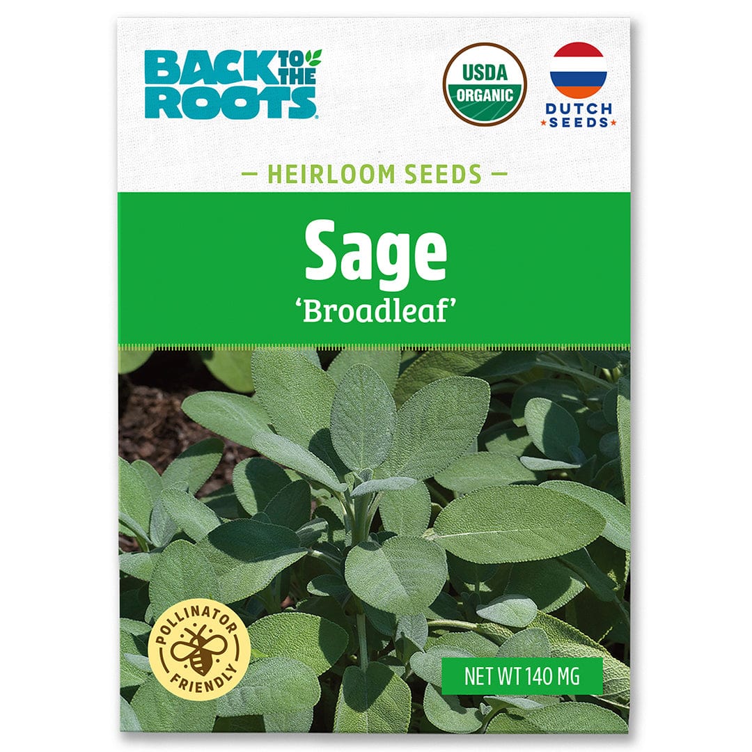 Back to the Roots Organic Sage Seeds 'Broadleaf' packet features images of this culinary herb, notes USDA Organic certification, Dutch seeds, pollinator friendly, 140mg net weight, and recommends using the grow calendar tool for planting tips.
