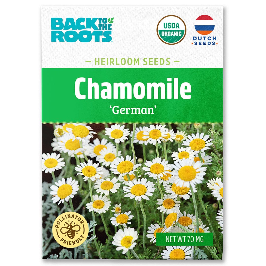Back to the Roots Organic Chamomile Seeds — 'German', certified organic, pollinator-friendly, and Dutch Seeds. Features chamomile flower images; ideal for growing your own herbal tea at home. Perfect for organic gardening.