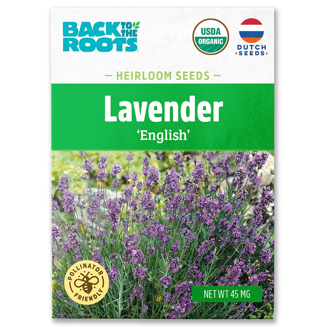Back to the Roots Organic Lavender Seeds — 'English'; a fragrant, perennial herb producing beautiful blooms. Features USDA Organic certification and is pollinator-friendly.