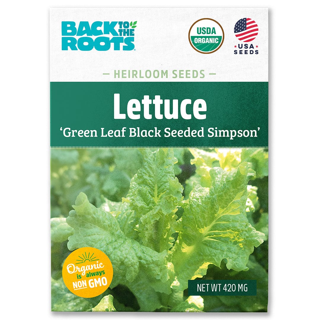 Organic green leaf lettuce seeds packet labeled 'Green Leaf Black Seeded Simpson' with USDA organic and non-GMO badges. - Organic Lettuce Seeds — 'Green Leaf Black Seeded Simpson' - Default Title - Back to the Roots