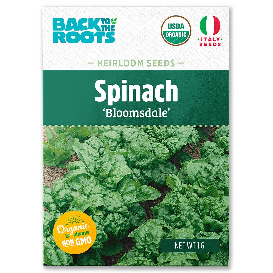 Back to the Roots Organic Spinach Seeds — 'Bloomsdale': USDA organic, non-GMO seeds featuring leafy baby spinach on the pack. Ideal cool weather crop for your garden.
