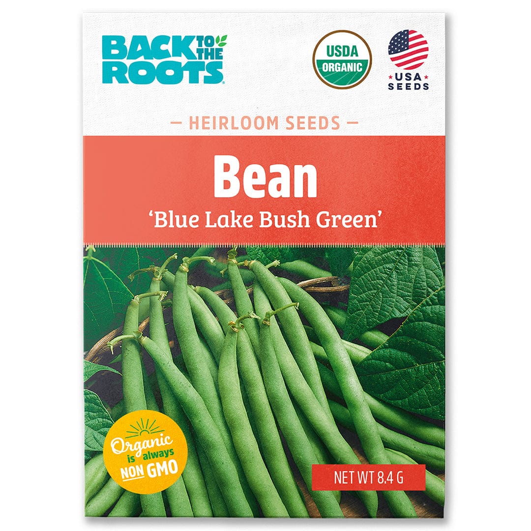 Packet of Back to the Roots Organic Blue Lake Bush Green bean seeds with fresh green beans and leaves on front. - Organic Bean Seeds — 'Blue Lake Bush Green' - Default Title - Back to the Roots