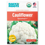 Organic cauliflower seeds packet with large white cauliflower head and green leaves on front, labeled 'Snowball Y'. - Organic Cauliflower Seeds — 'Snowball Y' - Default Title - Back to the Roots