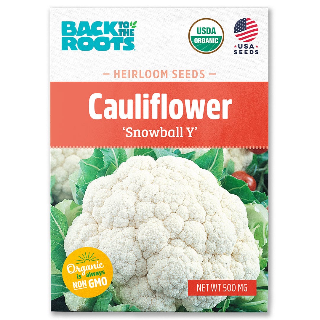 Organic cauliflower seeds packet with large white cauliflower head and green leaves on front, labeled 'Snowball Y'. - Organic Cauliflower Seeds — 'Snowball Y' - Default Title - Back to the Roots