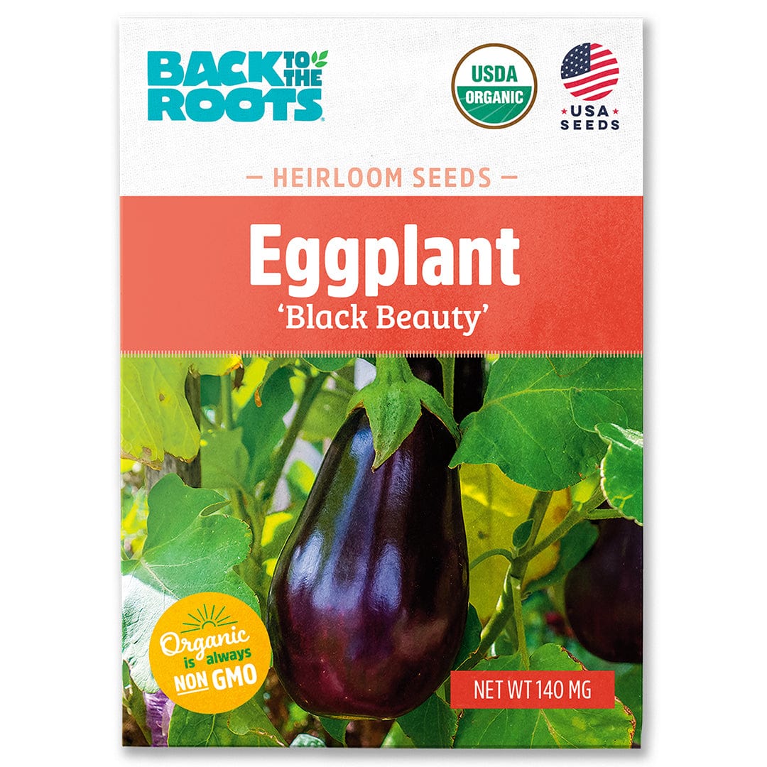 Back to the Roots Organic Eggplant Seeds — 'Black Beauty', USDA Organic and Non-GMO, ideal for vegetable gardening, feature an image of a ripe eggplant on the front.