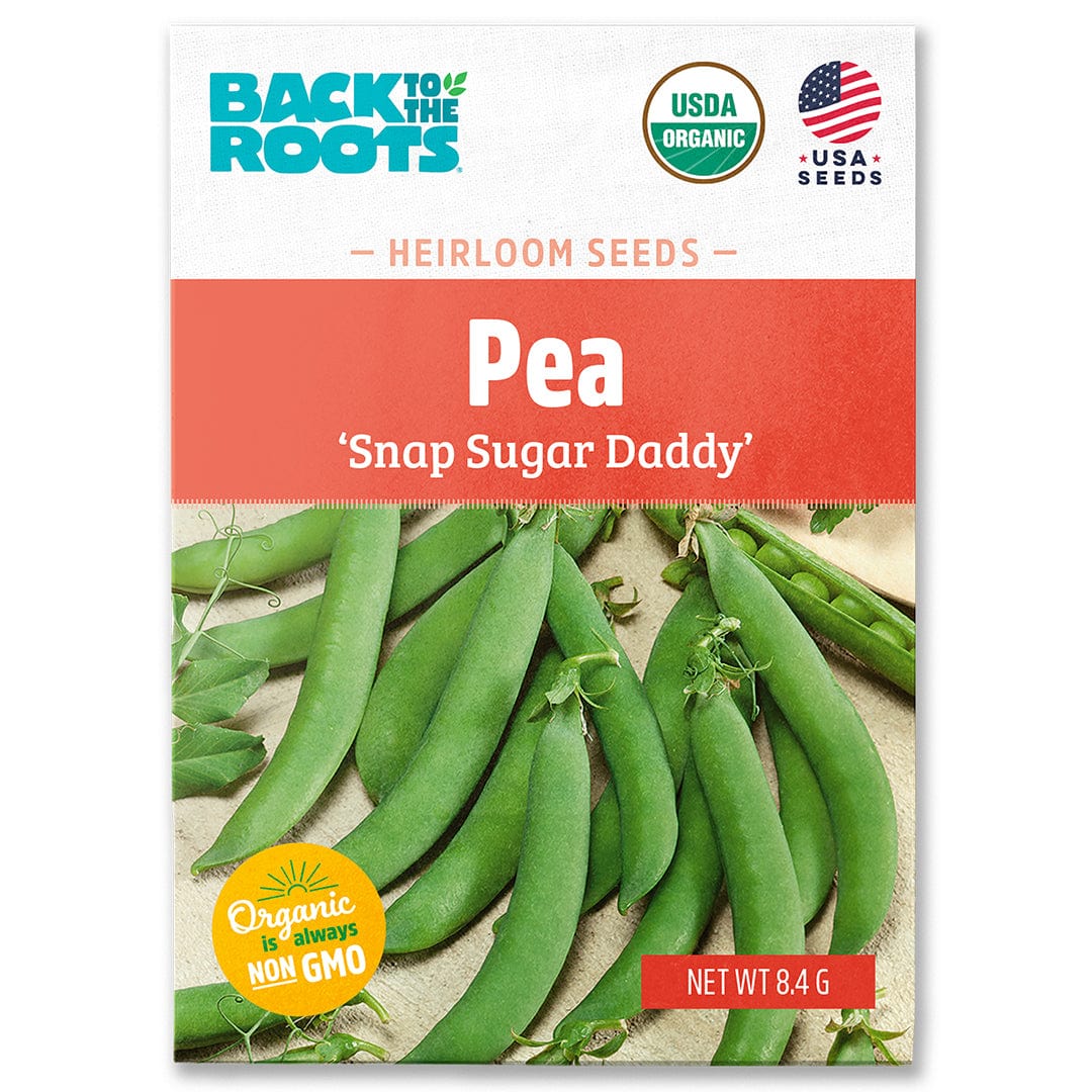 Back to the Roots Organic Pea Seeds 'Snap Sugar Daddy' are a cool weather crop for home gardens, offering green pods. USDA Organic, Non-GMO certified, and 8.4g net weight.