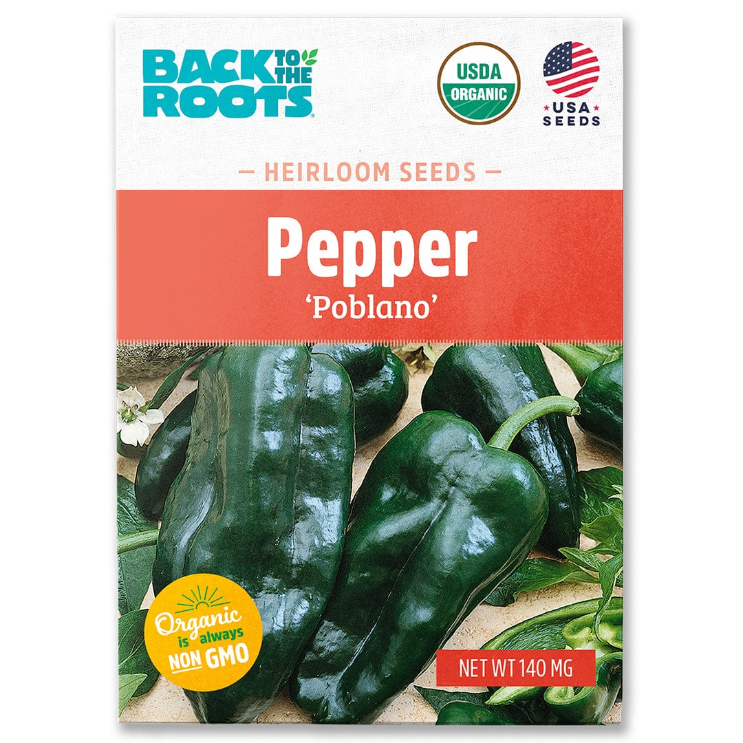 planting poblano peppers from seed Organic Pepper Seeds — 'Poblano'