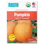 Organic heirloom 'Jack O' Lantern' pumpkin seed packet with bright orange pumpkins and USDA organic label. - Organic Pumpkin Seeds — 'Jack O' Lantern' - Default Title - Back to the Roots