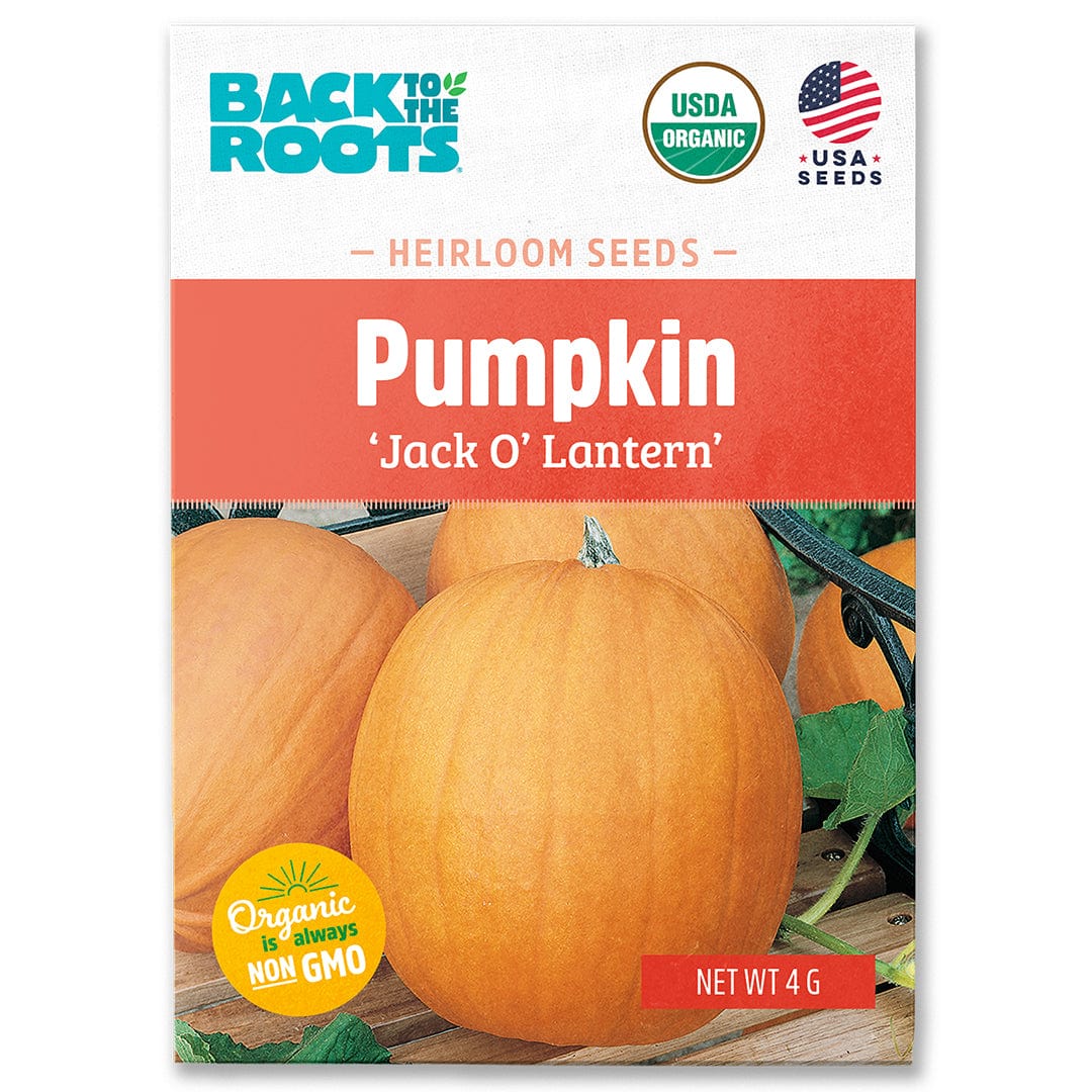 Organic heirloom 'Jack O' Lantern' pumpkin seed packet with bright orange pumpkins and USDA organic label. - Organic Pumpkin Seeds — 'Jack O' Lantern' - Default Title - Back to the Roots