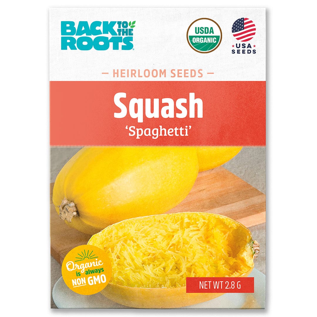 planting seeds from spaghetti squash Organic Squash Seeds — 'Spaghetti'