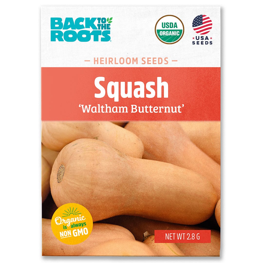 Pack of organic Waltham Butternut squash heirloom seeds with squash image on front. - Organic Squash Seeds — 'Waltham Butternut' - Default Title - Back to the Roots