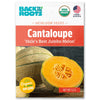 Organic cantaloupe seed packet with cantaloupe fruit and USDA organic label on front. - Organic Cantaloupe Seeds — 'Hale's Best Jumbo Melon' - Default Title - Back to the Roots