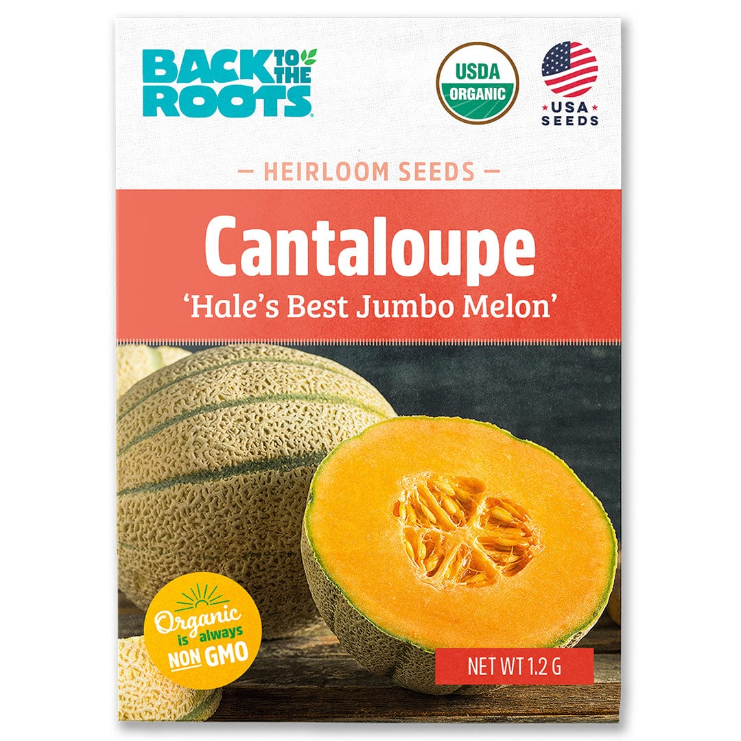Organic cantaloupe seed packet with cantaloupe fruit and USDA organic label on front. - Organic Cantaloupe Seeds — 'Hale's Best Jumbo Melon' - Default Title - Back to the Roots