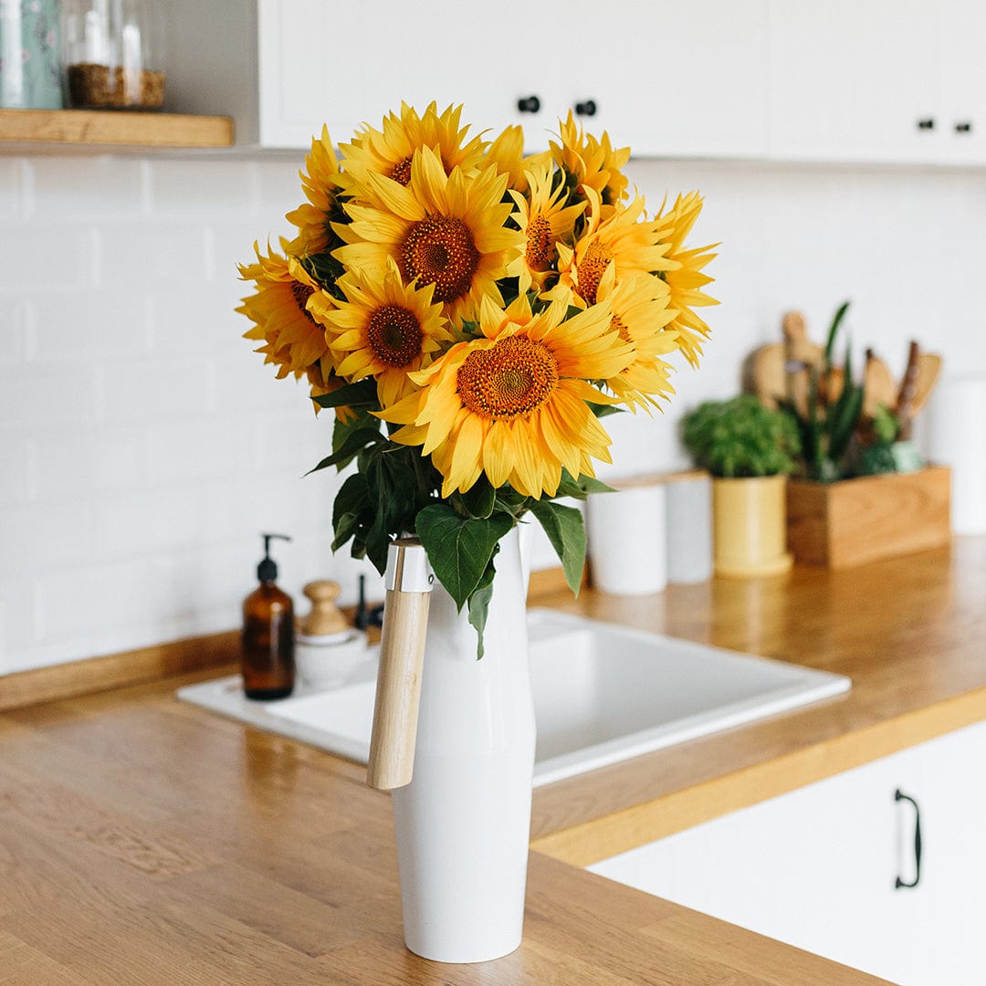 Bright yellow sunflower bouquet with large brown centers in tall white vase on kitchen counter. - Organic Sunflower Seeds — 'Mammoth Grey Stripe' - Default Title - Back to the Roots