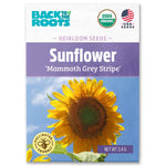 Organic Mammoth Grey Stripe sunflower seed packet with vibrant sunflower and blue background. - Organic Sunflower Seeds — 'Mammoth Grey Stripe' - Default Title - Back to the Roots