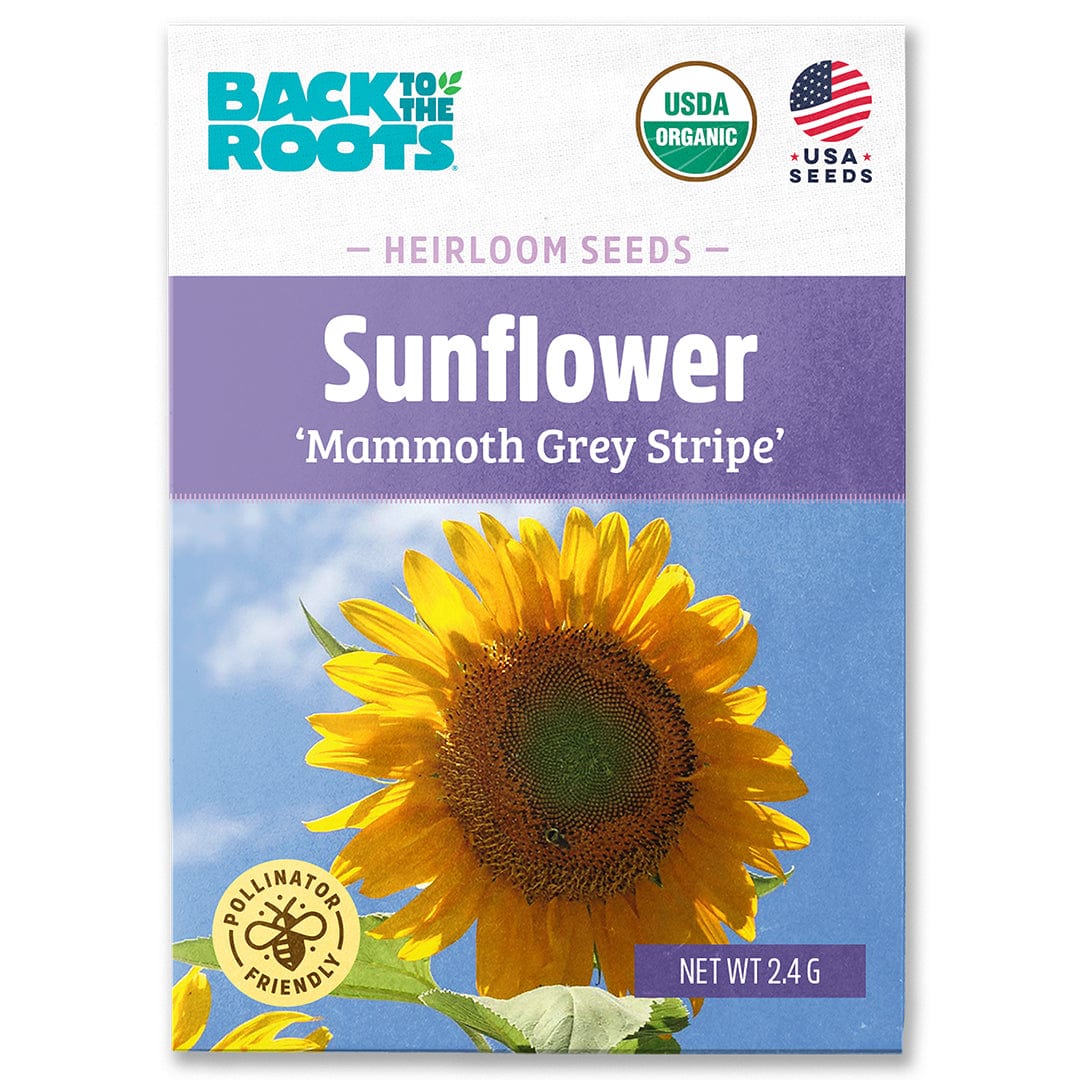 Organic Mammoth Grey Stripe sunflower seed packet with vibrant sunflower and blue background. - Organic Sunflower Seeds — 'Mammoth Grey Stripe' - Default Title - Back to the Roots