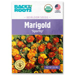 Back to the Roots Organic Marigold 'Sparky' Heirloom Seeds packet with vibrant orange and yellow marigold flowers on front. - Organic Marigold Seeds — 'Sparky' - Default Title - Back to the Roots
