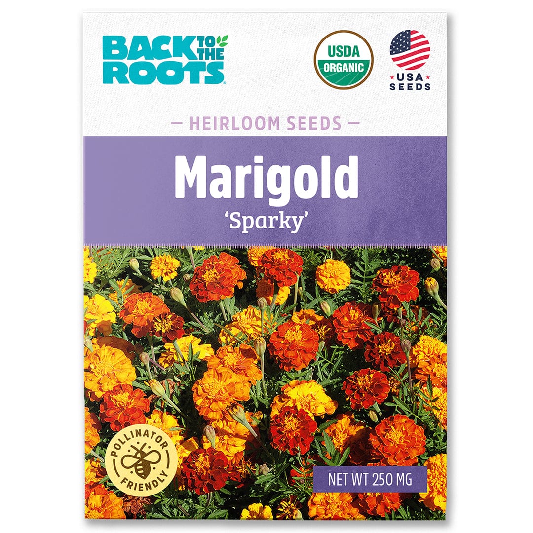 Back to the Roots Organic Marigold 'Sparky' Heirloom Seeds packet with vibrant orange and yellow marigold flowers on front. - Organic Marigold Seeds — 'Sparky' - Default Title - Back to the Roots