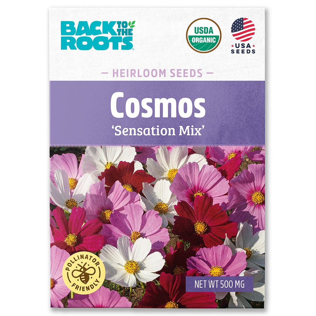 Packet of USDA organic Cosmos Sensation Mix heirloom flower seeds with vibrant pink, white, and red blooms on front. - Organic Cosmos Seeds — 'Sensation Mix' - Default Title - Back to the Roots