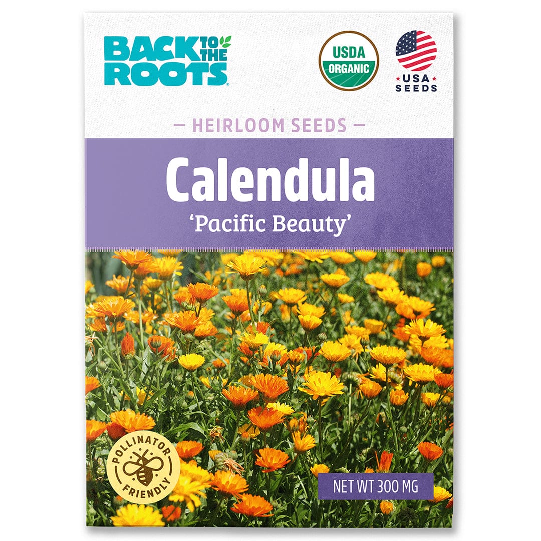 Organic Calendula 'Pacific Beauty' heirloom seed packet with blooming orange flowers on white and purple background. - Organic Calendula Seeds — 'Pacific Beauty' - Default Title - Back to the Roots