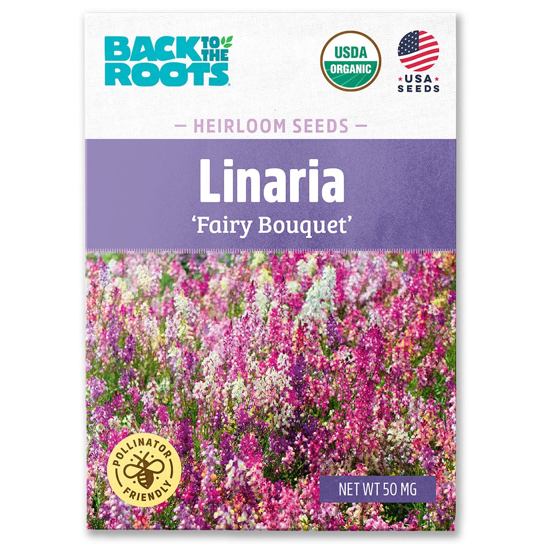 Organic Linaria Fairy Bouquet heirloom seed packet with vibrant pink and purple flowers on front. - Organic Linaria Seeds — 'Fairy Bouquet' - Default Title - Back to the Roots