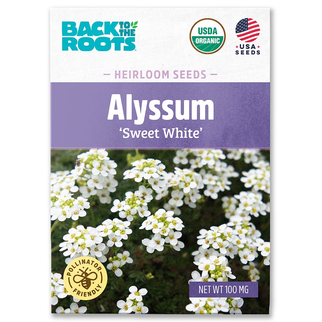 Packet of Back to the Roots organic Alyssum Sweet White heirloom seeds with white flowers and USDA organic label. - Organic Alyssum Seeds — 'Sweet White' - Default Title - Back to the Roots