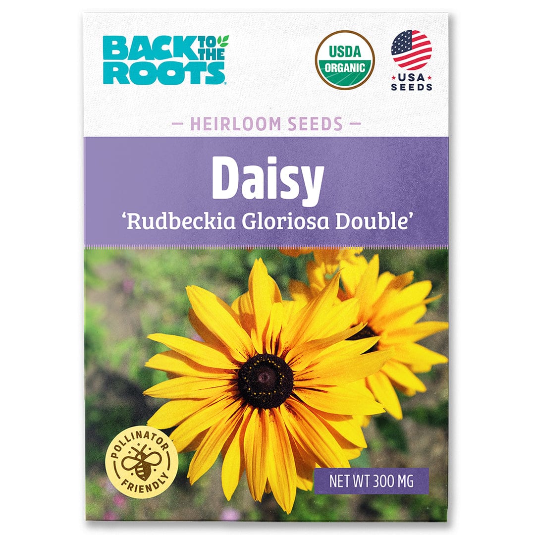 Organic Daisy Seeds 'Rudbeckia Gloriosa Double' packet with yellow flowers on purple background. - Organic Daisy Seeds — 'Rudbeckia Gloriosa Double' - Default Title - Back to the Roots