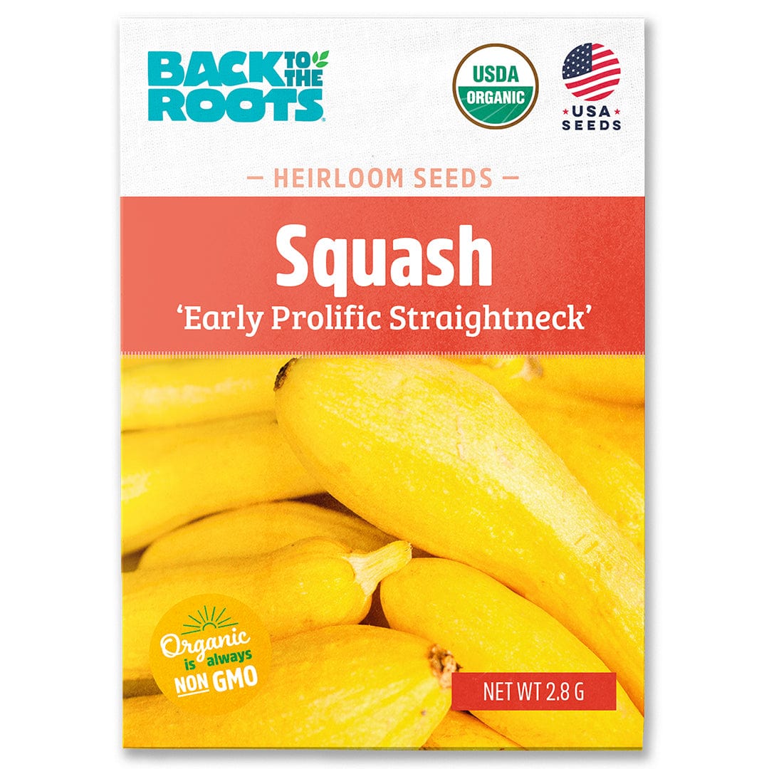 squash plant seeds Organic Squash Seeds — 'Early Prolific Straightneck' – Back to the Roots