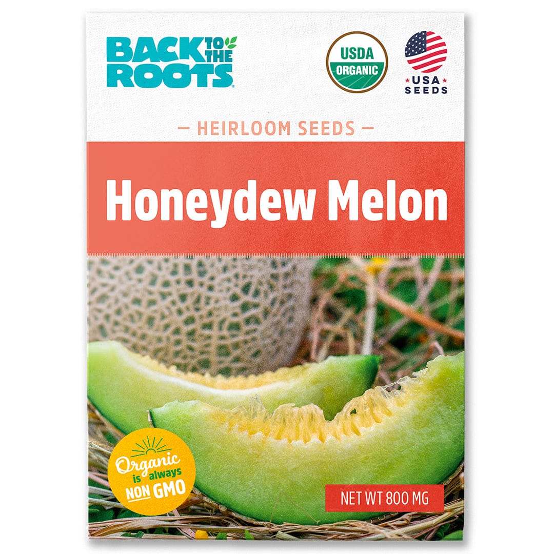 planting honeydew seeds Organic Honeydew Melon 'Green Flesh' Gardening Seeds