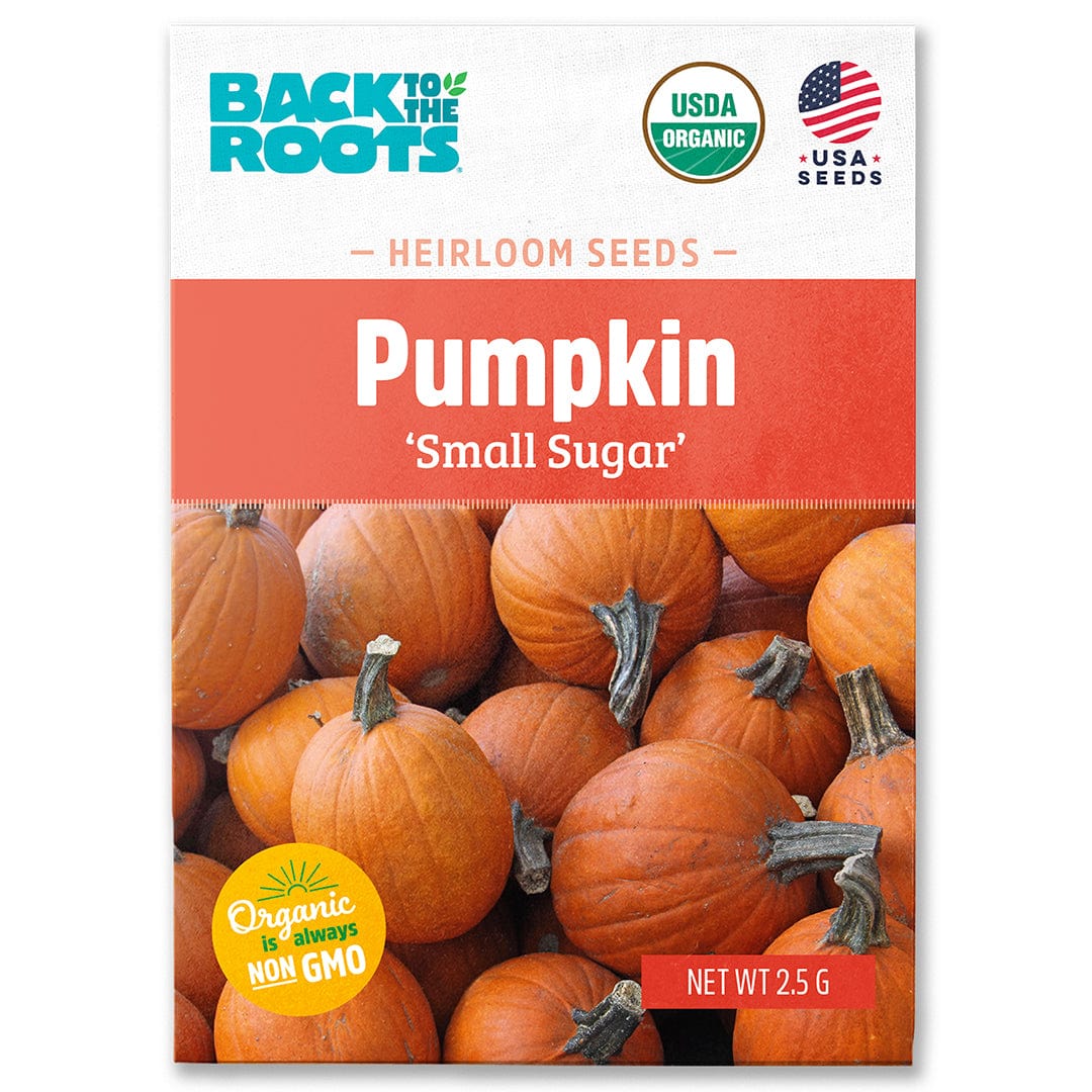 Organic Small Sugar pumpkin seed packet with vibrant orange pumpkins and USDA Organic and Non-GMO labels. - Organic Pumpkin Seeds — 'Small Sugar' - Default Title - Back to the Roots