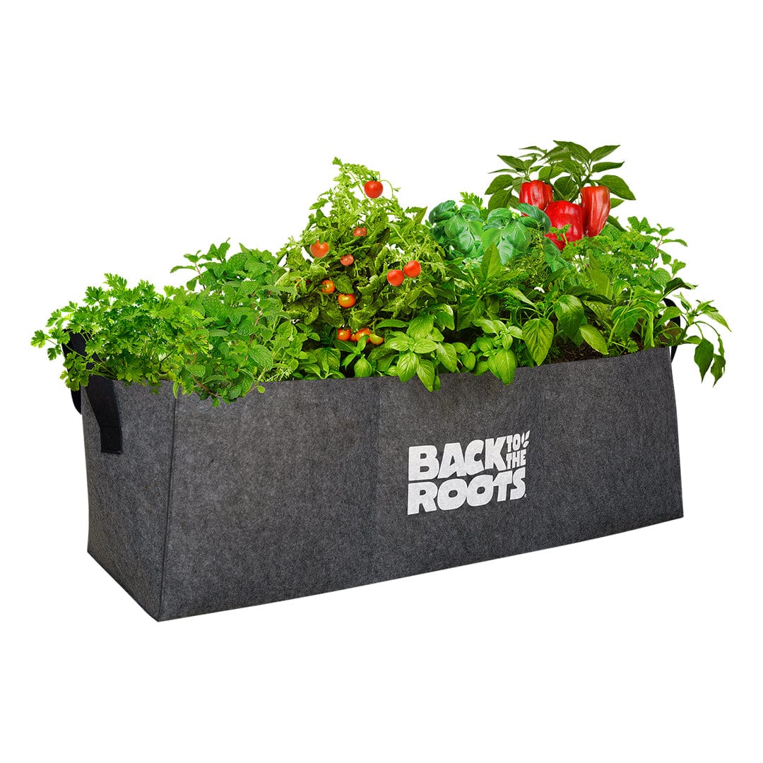Dark gray fabric raised garden bed with growing herbs, tomatoes, and peppers, branded "Back to the Roots". - Fabric Raised Garden Bed (3 cubic ft) - Default Title - Back to the Roots