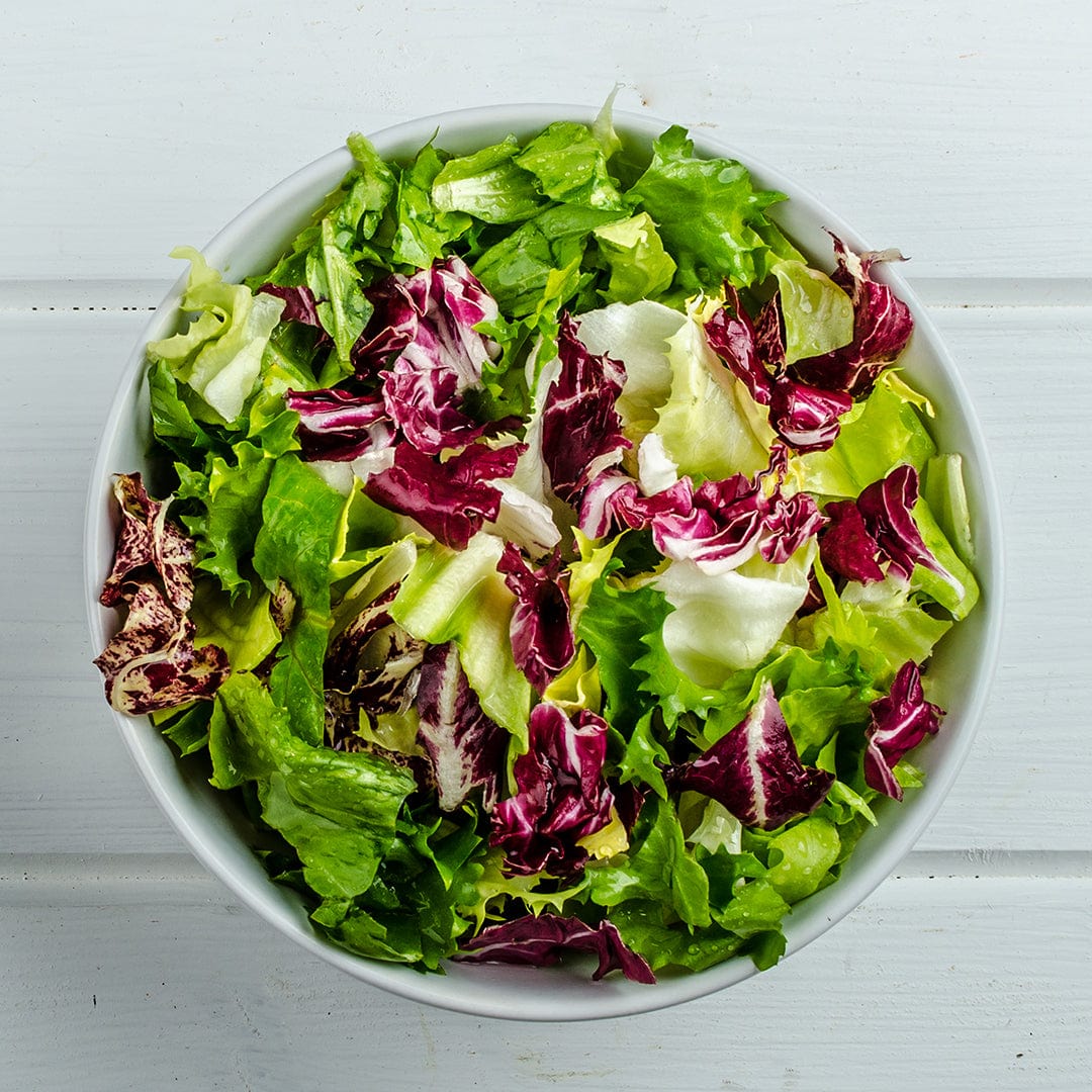A white bowl rests on a white wooden surface, filled with greens grown from Back to the Roots Organic Lettuce Seeds ‘Gourmet Blend’, featuring a fresh mix of leafy greens and radicchio.