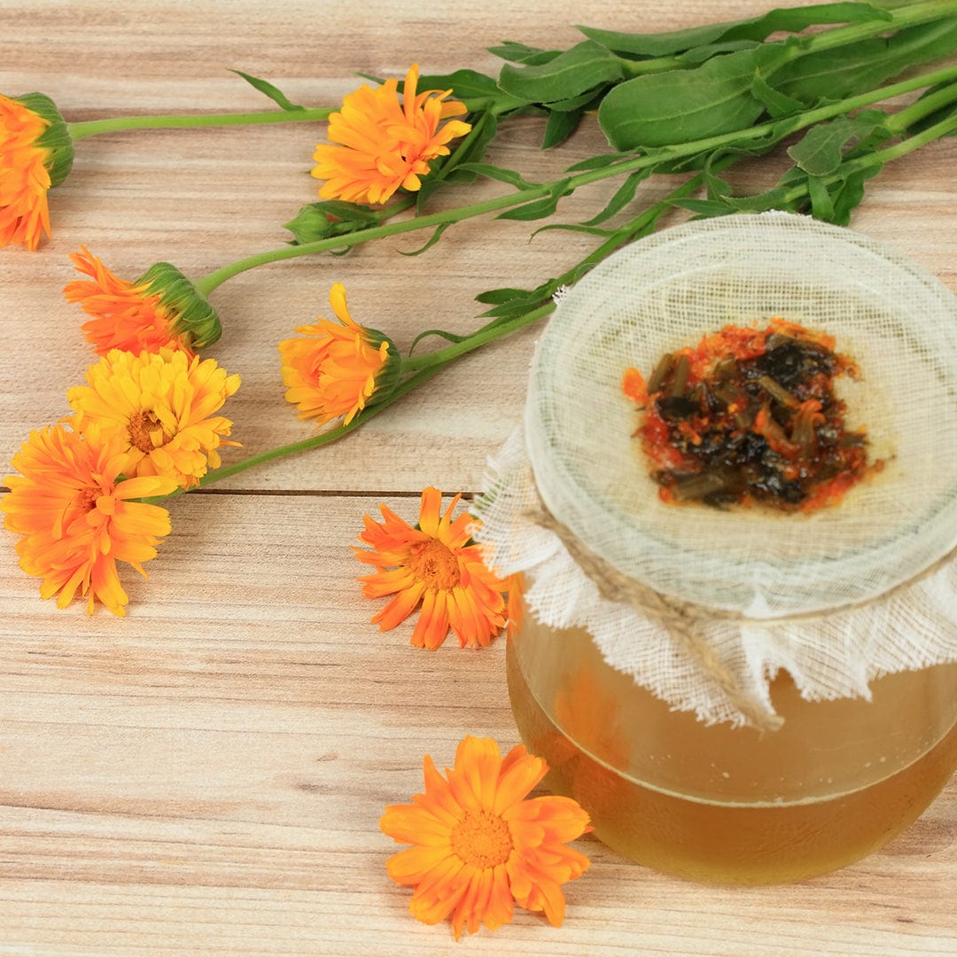 Bright orange marigold flowers with green stems next to honey jar covered with cloth on wooden surface. - Organic Marigold Seeds — 'Sparky' - Default Title - Back to the Roots