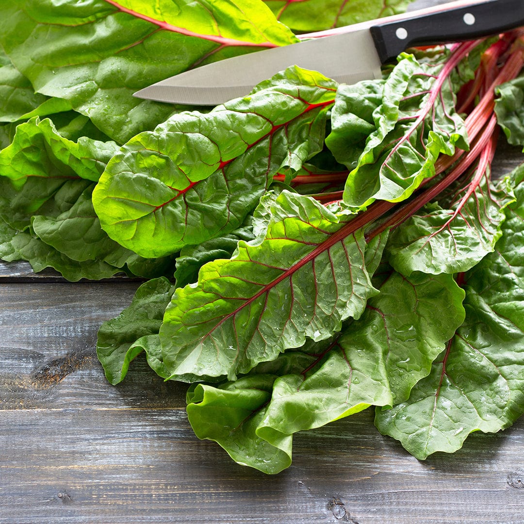 Fresh Ruby Red Swiss chard leaves with vibrant red stems on a rustic wooden surface next to a knife. - Organic Swiss Chard Seeds — 'Ruby Red' - Default Title - Back to the Roots