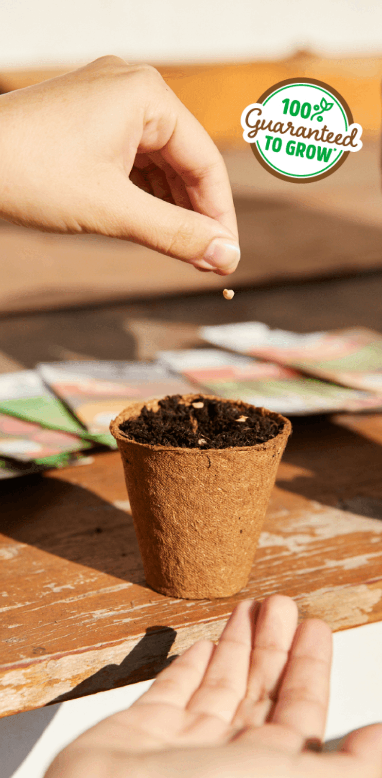 Seed being planted in soil with a ‘100% Guaranteed to Grow’ emblem.